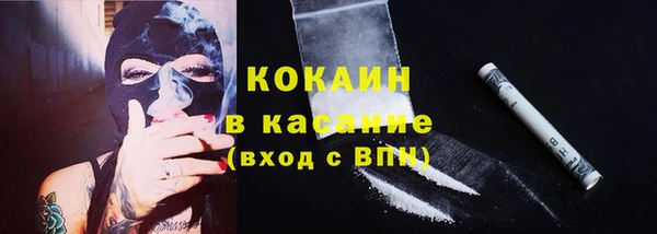 крисы Лабытнанги