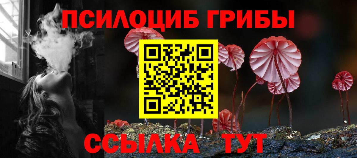 купить закладку  Галлюциногенные грибы прущие грибы  Галлюциногенные грибы Cubensis  Вход с VPN  Ноябрьск 
