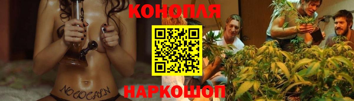 Шишки марихуана Bruce Banner  Вход с VPN  Бошки марихуана план  Ноябрьск  Бошки Шишки гибрид 